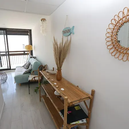 Lumineux Et Climatise St Cyprien Apartment