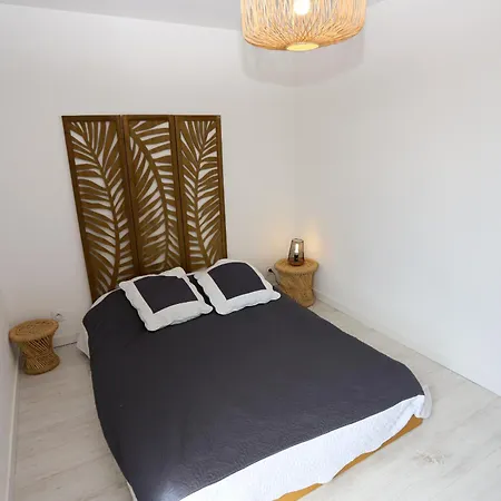Lumineux Et Climatise St Cyprien Apartment *