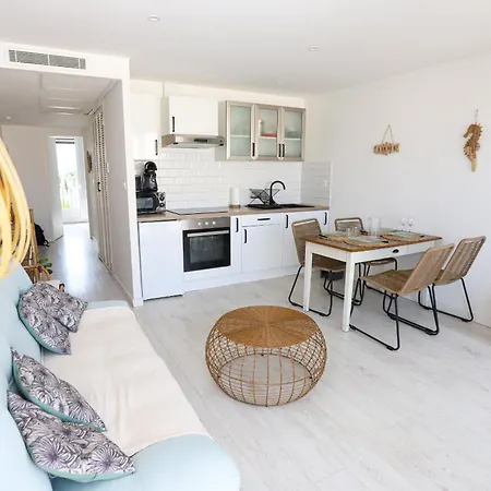 Lumineux Et Climatise St Cyprien Apartment Saint-Cyprien (Pyrenees-Orientales)